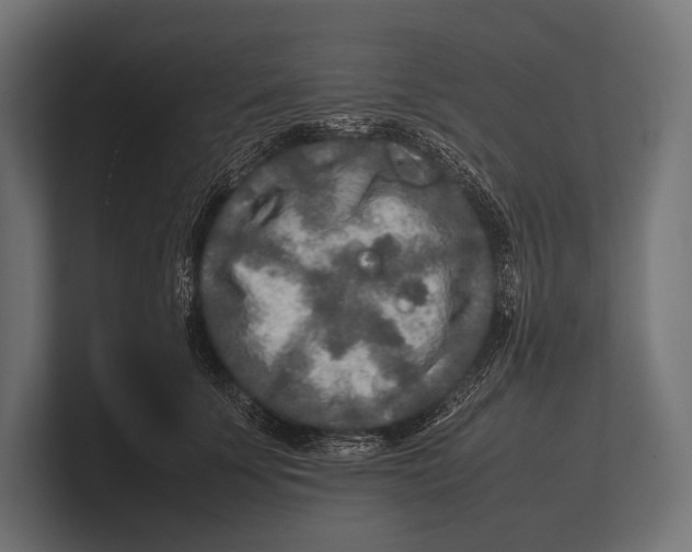 X0000100230707200806201444