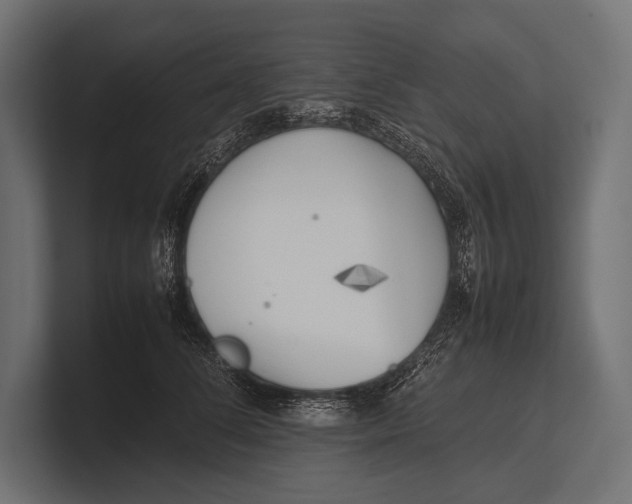 X0000100230708200806201444