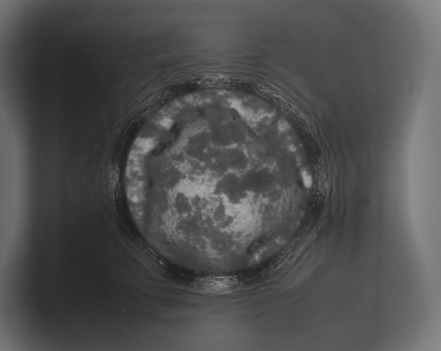 X0000100230711200806201444