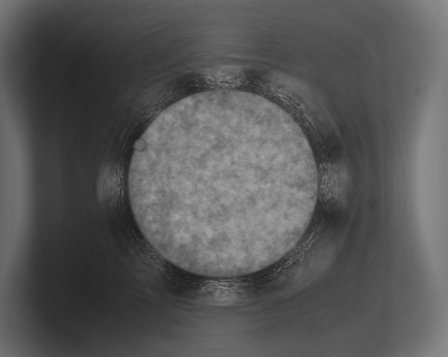 X0000100230713200806201444