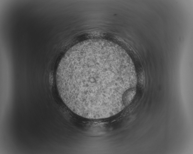 X0000100230715200806201444