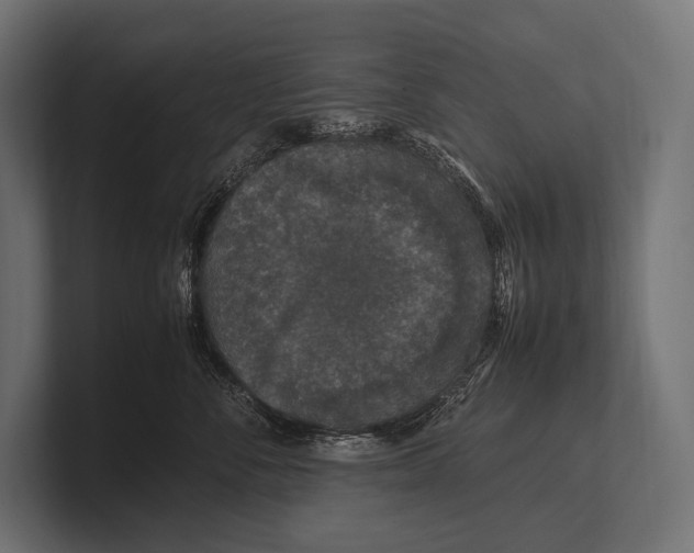 X0000100230716200806201444