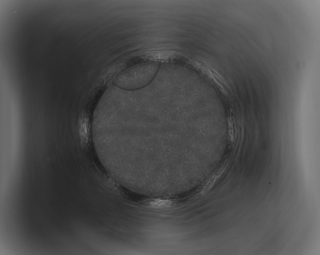 X0000100230718200806201444