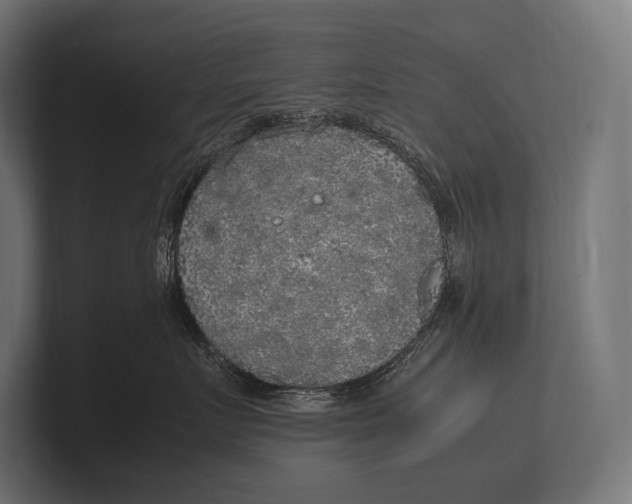 X0000100230719200806201444