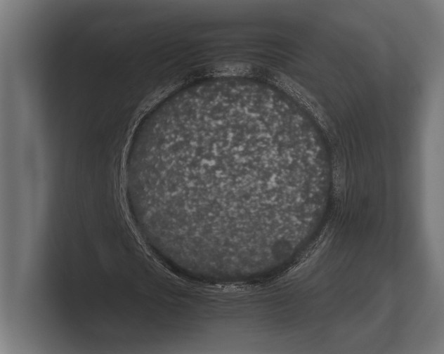 X0000100230721200806201443