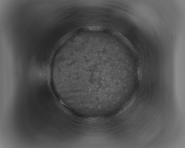 X0000100230725200806201443