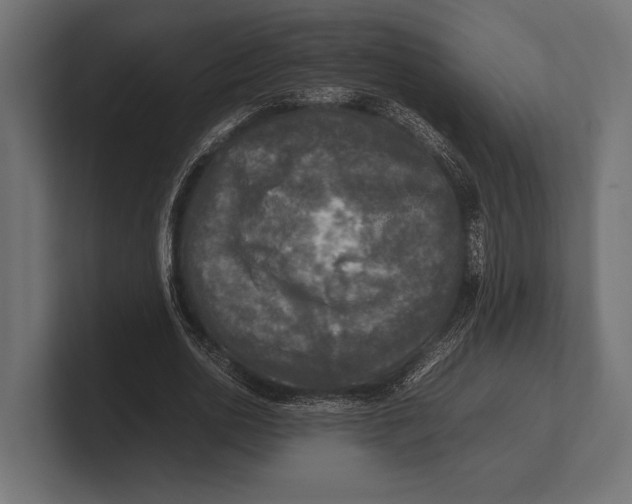 X0000100230726200806201443