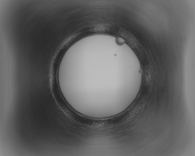 X0000100230728200806201443