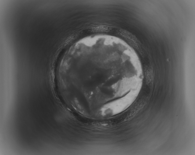 X0000100230729200806201443