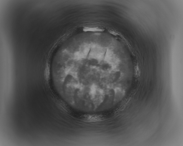 X0000100230733200806201443