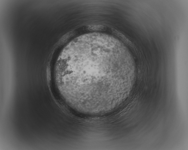 X0000100230734200806201443