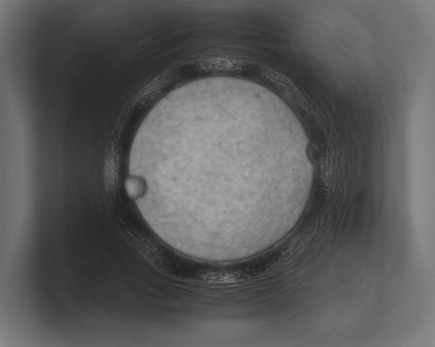 X0000100230735200806201443