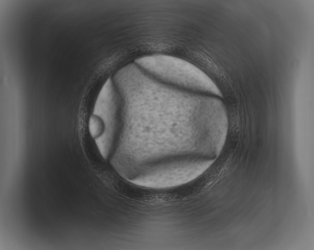 X0000100230736200806201443