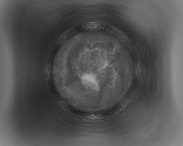 X0000100230737200806201443