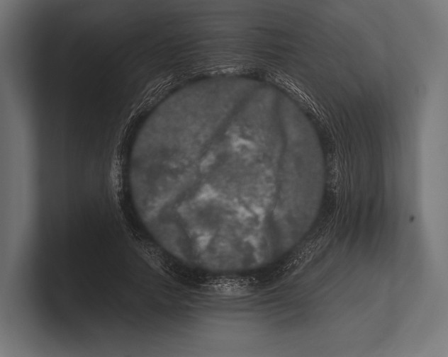 X0000100230738200806201443