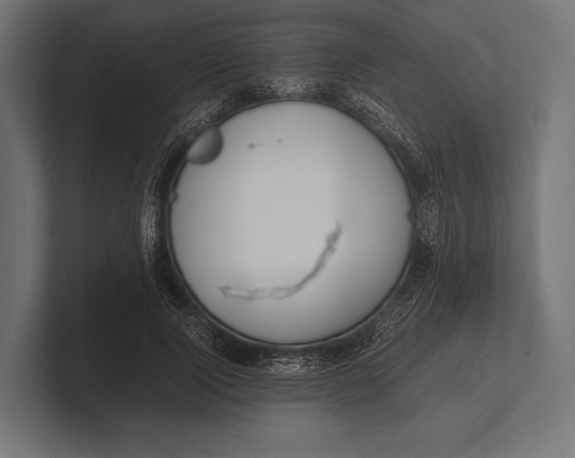 X0000100230740200806201443