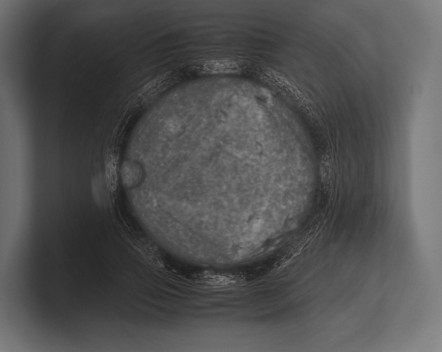 X0000100230741200806201443