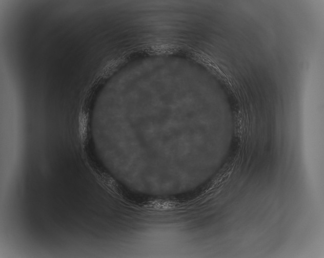 X0000100230742200806201443