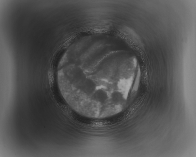 X0000100230746200806201443