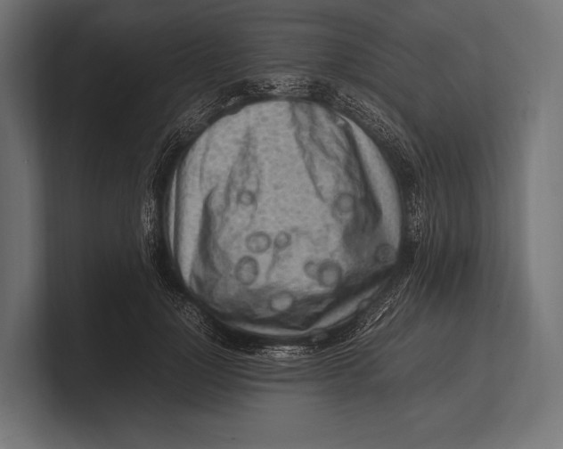 X0000100230748200806201443