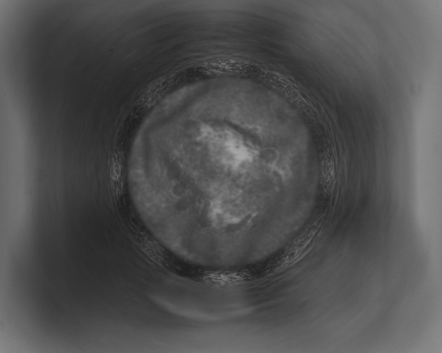 X0000100230749200806201443