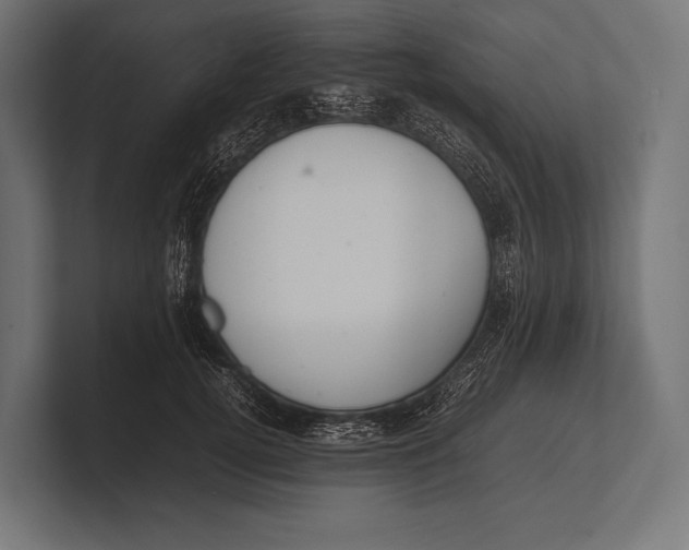 X0000100230752200806201443