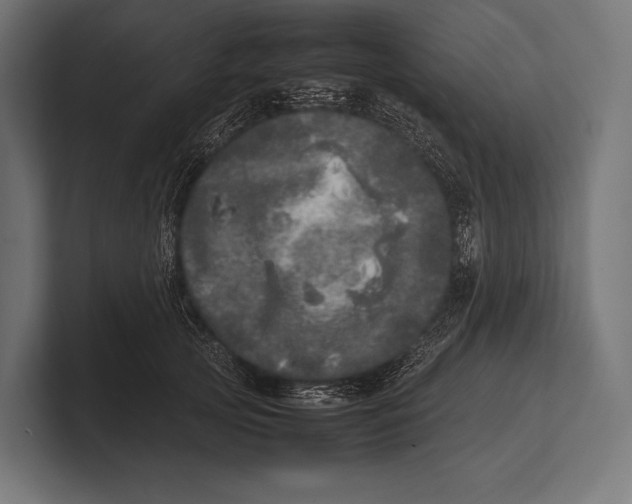 X0000100230753200806201443