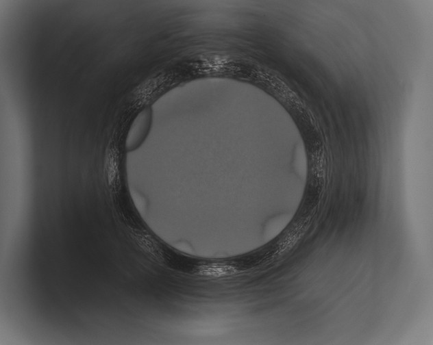 X0000100230754200806201444