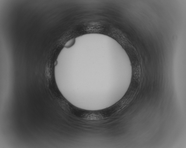 X0000100230755200806201444