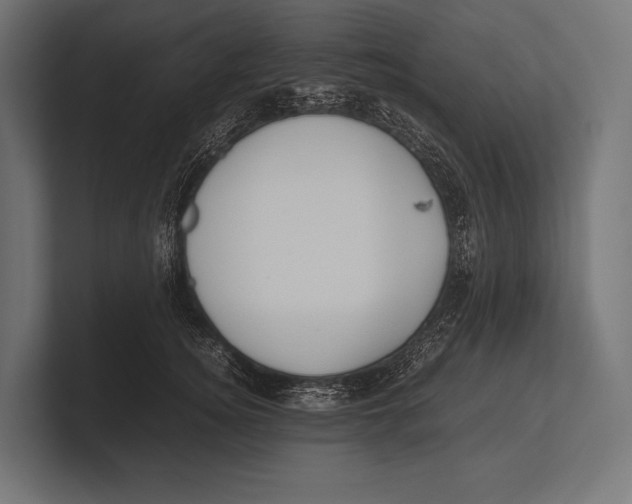 X0000100230756200806201444