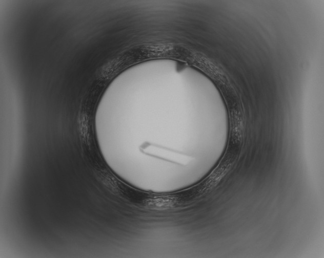 X0000100230758200806201444