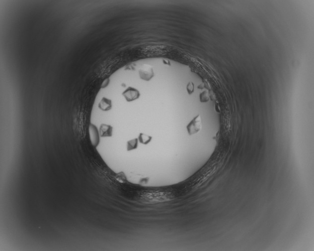 X0000100230759200806201444