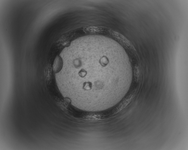 X0000100230760200806201444