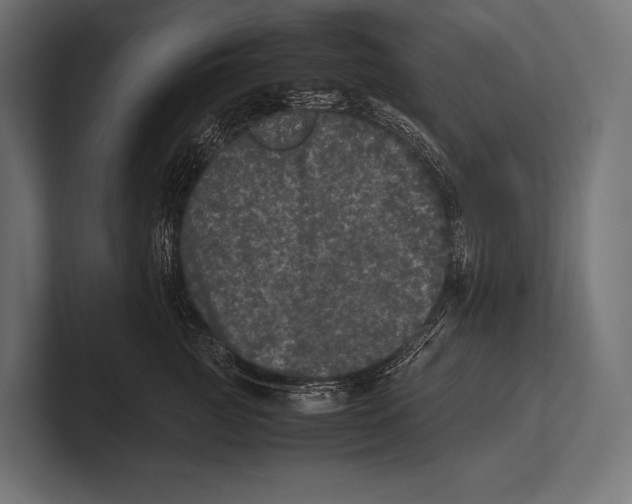 X0000100230761200806201444