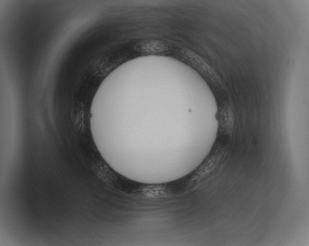 X0000100230762200806201444