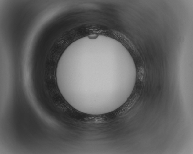 X0000100230763200806201444