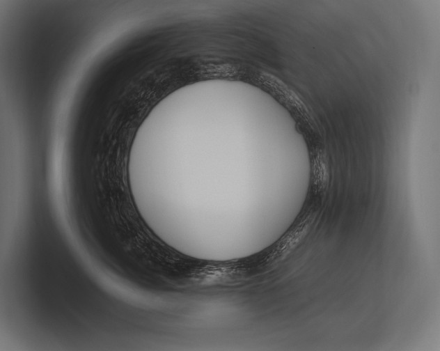 X0000100230764200806201444