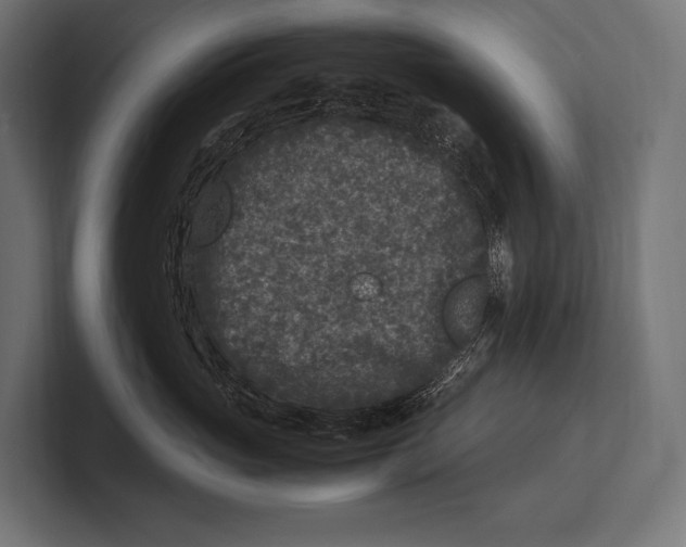 X0000100230765200806201444