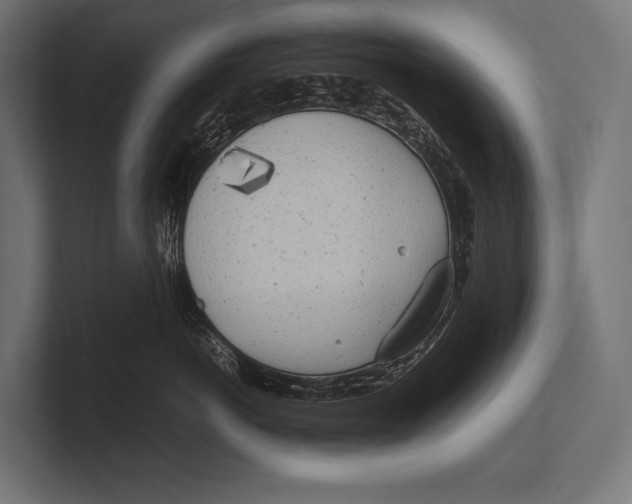 X0000100230766200806201444