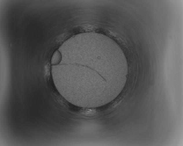 X0000100230768200806201444