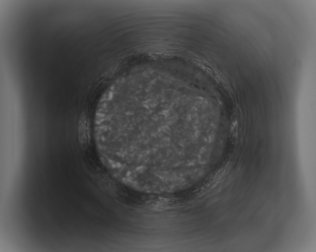 X0000100230772200806201443