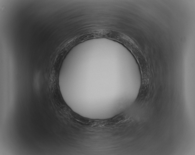 X0000100230773200806201443