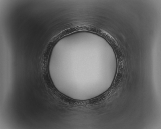 X0000100230775200806201443