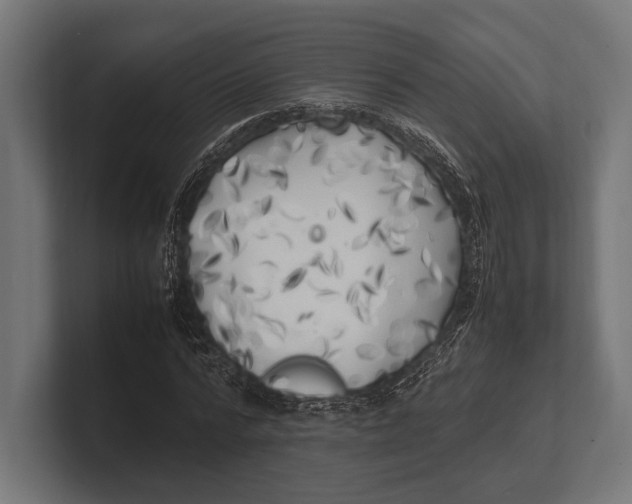 X0000100230776200806201443