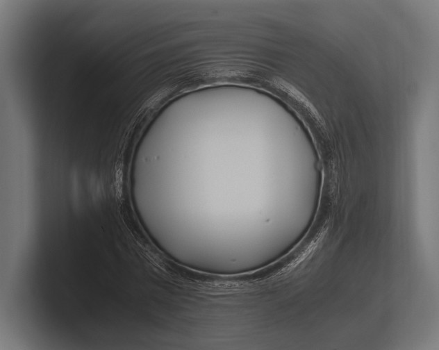 X0000100230777200806201443