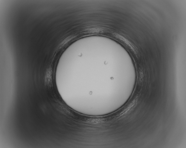 X0000100230778200806201443