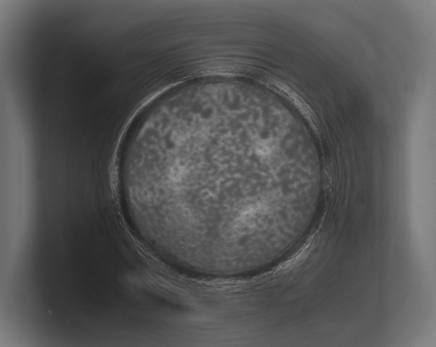 X0000100230779200806201443