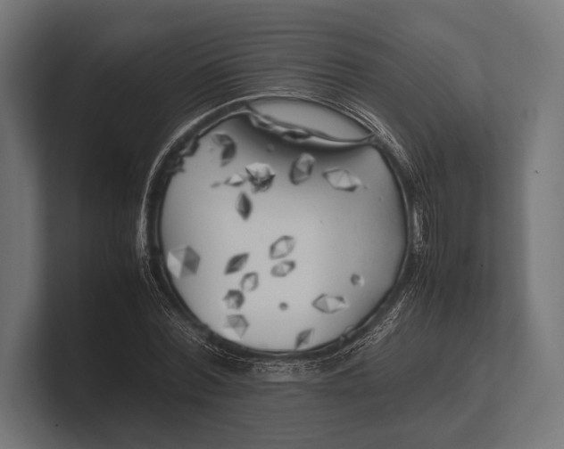 X0000100230780200806201443