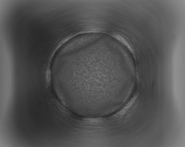 X0000100230781200806201443