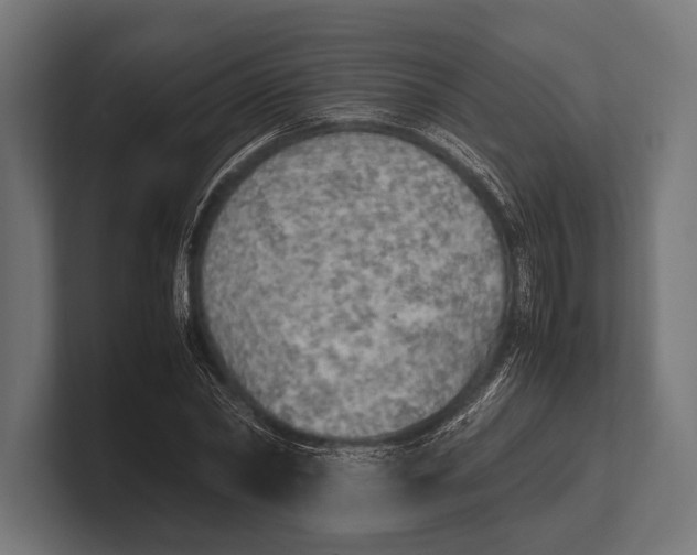 X0000100230782200806201443